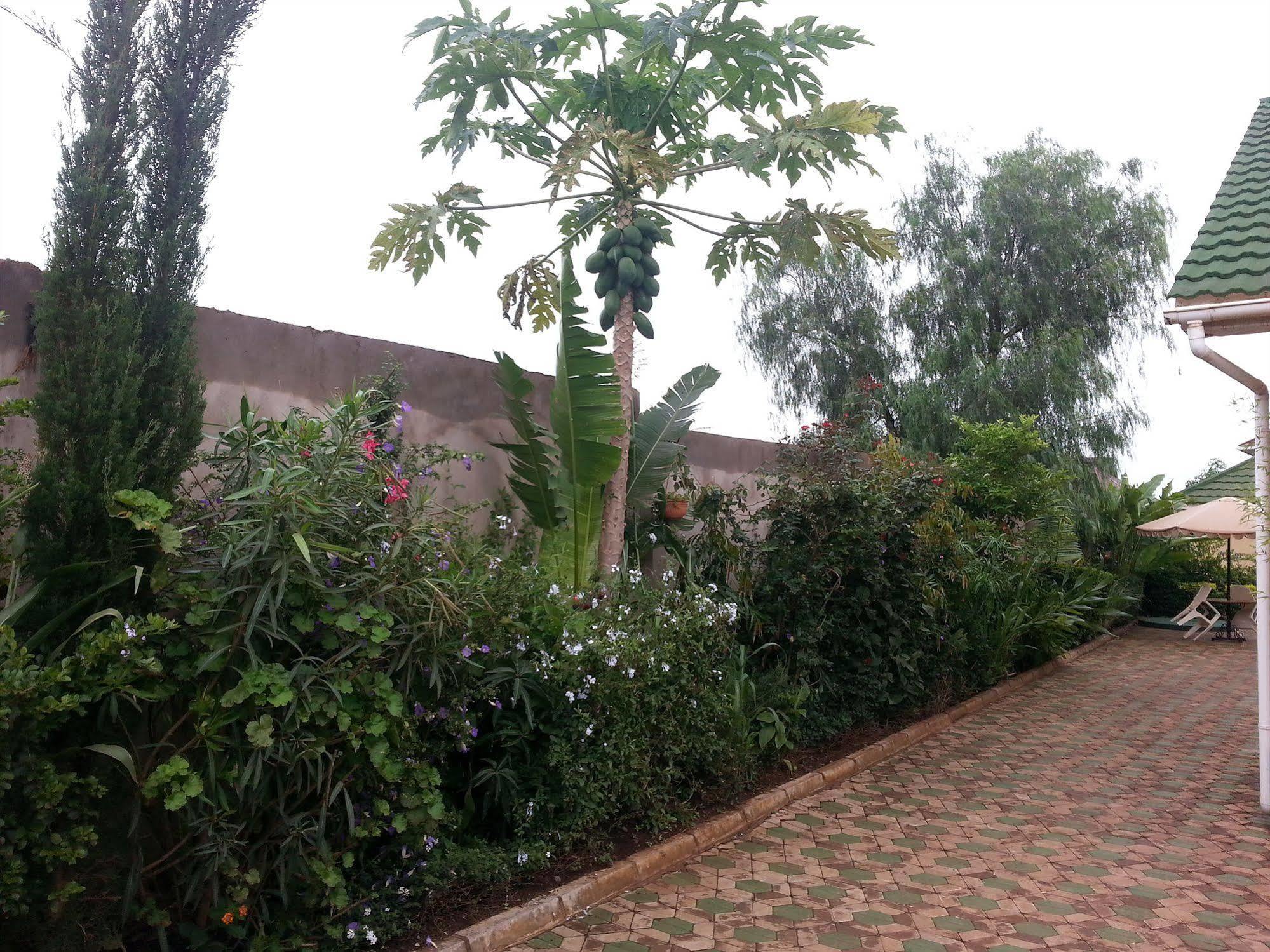 Korona House Hotel Arusha Exterior foto
